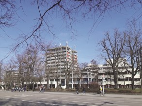 (3) Da standen sie noch. Die kleineren Bäume rechts hinten vor der Sparkasse gibt es nun nicht mehr..jpg